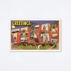 Greetings From Texas Herd Postcard