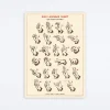 Sign Language Chart Wrap