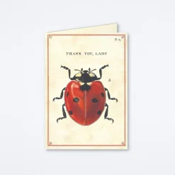 Thank You Lady Card